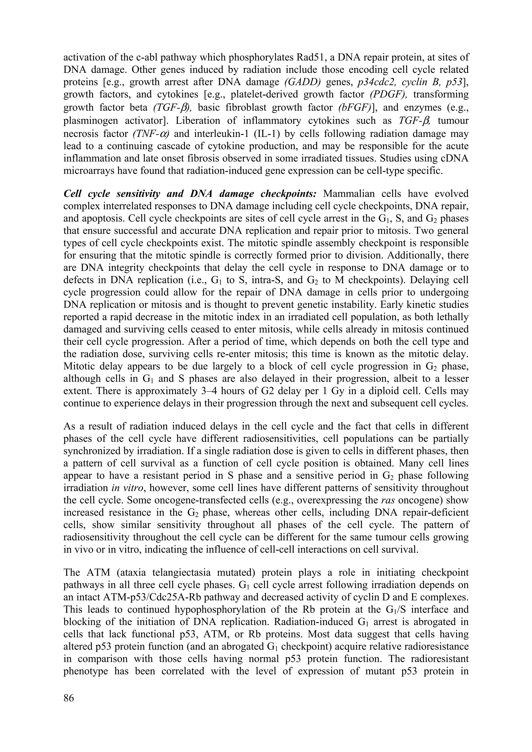 activation of the c-abl pathway which phosphorylates Rad51, a DNA repair protein, at sites of
DNA damage. Other genes induced by radiation include those encoding cell cycle related
proteins [e.g., growth arrest after DNA damage (GADD) genes, p34cdc2, cyclin B, p53],
growth factors, and cytokines [e.g., platelet-derived growth factor (PDGF), transforming
growth factor beta (TGF-β), basic fibroblast growth factor (bFGF)], and enzymes (e.g.,
plasminogen activator]. Liberation of inflammatory cytokines such as TGF-β, tumour
necrosis factor (TNF-α) and interleukin-1 (IL-1) by cells following radiation damage may
lead to a continuing cascade of cytokine production, and may be responsible for the acute
inflammation and late onset fibrosis observed in some irradiated tissues. Studies using cDNA
microarrays have found that radiation-induced gene expression can be cell-type specific.
Cell cycle sensitivity and DNA damage checkpoints: Mammalian cells have evolved
complex interrelated responses to DNA damage including cell cycle checkpoints, DNA repair,
and apoptosis. Cell cycle checkpoints are sites of cell cycle arrest in the G1, S, and G2 phases
that ensure successful and accurate DNA replication and repair prior to mitosis. Two general
types of cell cycle checkpoints exist. The mitotic spindle assembly checkpoint is responsible
for ensuring that the mitotic spindle is correctly formed prior to division. Additionally, there
are DNA integrity checkpoints that delay the cell cycle in response to DNA damage or to
defects in DNA replication (i.e., G1 to S, intra-S, and G2 to M checkpoints). Delaying cell
cycle progression could allow for the repair of DNA damage in cells prior to undergoing
DNA replication or mitosis and is thought to prevent genetic instability. Early kinetic studies
reported a rapid decrease in the mitotic index in an irradiated cell population, as both lethally
damaged and surviving cells ceased to enter mitosis, while cells already in mitosis continued
their cell cycle progression. After a period of time, which depends on both the cell type and
the radiation dose, surviving cells re-enter mitosis; this time is known as the mitotic delay.
Mitotic delay appears to be due largely to a block of cell cycle progression in G2 phase,
although cells in G1 and S phases are also delayed in their progression, albeit to a lesser
extent. There is approximately 3–4 hours of G2 delay per 1 Gy in a diploid cell. Cells may
continue to experience delays in their progression through the next and subsequent cell cycles.
As a result of radiation induced delays in the cell cycle and the fact that cells in different
phases of the cell cycle have different radiosensitivities, cell populations can be partially
synchronized by irradiation. If a single radiation dose is given to cells in different phases, then
a pattern of cell survival as a function of cell cycle position is obtained. Many cell lines
appear to have a resistant period in S phase and a sensitive period in G2 phase following
irradiation in vitro, however, some cell lines have different patterns of sensitivity throughout
the cell cycle. Some oncogene-transfected cells (e.g., overexpressing the ras oncogene) show
increased resistance in the G2 phase, whereas other cells, including DNA repair-deficient
cells, show similar sensitivity throughout all phases of the cell cycle. The pattern of
radiosensitivity throughout the cell cycle can be different for the same tumour cells growing
in vivo or in vitro, indicating the influence of cell-cell interactions on cell survival.
The ATM (ataxia telangiectasia mutated) protein plays a role in initiating checkpoint
pathways in all three cell cycle phases. G1 cell cycle arrest following irradiation depends on
an intact ATM-p53/Cdc25A-Rb pathway and decreased activity of cyclin D and E complexes.
This leads to continued hypophosphorylation of the Rb protein at the G1/S interface and
blocking of the initiation of DNA replication. Radiation-induced G1 arrest is abrogated in
cells that lack functional p53, ATM, or Rb proteins. Most data suggest that cells having
altered p53 protein function (and an abrogated G1 checkpoint) acquire relative radioresistance
in comparison with those cells having normal p53 protein function. The radioresistant
phenotype has been correlated with the level of expression of mutant p53 protein in
86
 