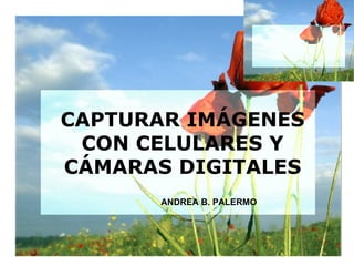 CAPTURAR IMÁGENES CON CELULARES Y CÁMARAS DIGITALES ANDREA B. PALERMO 
