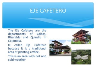 EJE CAFETERO


The Eje Cafetero are the
departments of Caldas,
Risaralda and Quindio in
Colombia.
Is called Eje Cafetero
because it is a traditional
area of planting coffee.
This is an area with hot and
cold weather
 