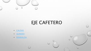 EJE CAFETERO
• CALDAS
• QUINDÍO
• RISARALDA
 