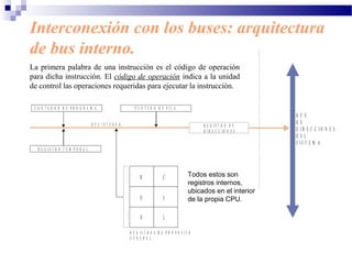 Interconexión con los buses: arquitectura
de bus interno.
B U S I N T E R N O
C O N T A D O R D E P R O G R A M A P U N T E R O D E P I L A
R E G I S T R O T E M P O R A L
B C
D E
H L
R E G I S T R O S D E P R O P Ó S I T O
G E N E R A L .
R E G I S T R O D E
D I R E C C I O N E S
B U S
D E
D I R E C C I O N E S
D E L
S I S T E M A
La primera palabra de una instrucción es el código de operación
para dicha instrucción. El código de operación indica a la unidad
de control las operaciones requeridas para ejecutar la instrucción.
Todos estos son
registros internos,
ubicados en el interior
de la propia CPU.
 