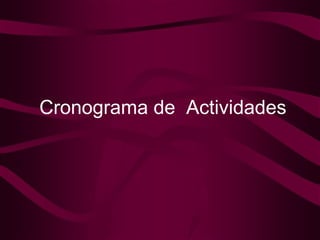Cronograma de  Actividades 