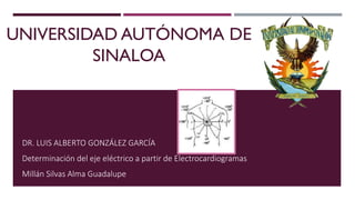 UNIVERSIDAD AUTÓNOMA DE
SINALOA
DR. LUIS ALBERTO GONZÁLEZ GARCÍA
Determinación del eje eléctrico a partir de Electrocardiogramas
Millán Silvas Alma Guadalupe
 