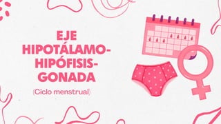 EJE
HIPOTÁLAMO-
HIPÓFISIS-
GONADA
(Ciclo menstrual)
 