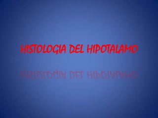 HISTOLOGIA DEL HIPOTALAMO 