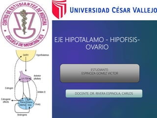 EJE HIPOTALAMO - HIPOFISIS-
OVARIO
ESTUDIANTE:
ESPINOZA GOMEZ VICTOR
DOCENTE: DR. RIVERA ESPINOLA, CARLOS
 