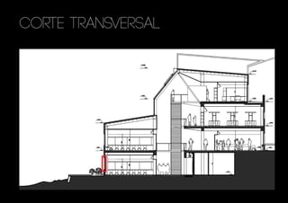 corte transversal
 