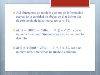 Así obtenemos un modelo que nos da información acerca de la cantidad de abejas en el n-ésimo día de existencia de la colmena con 푛<21. 
푎푛=10000−250푛, 0 ≤푛<21 , con 푛 un número natural. Sin embargo este es un modelo discreto 
푎푡=10000−250푡, 0 ≤푡<21, con t un numero real, obtenemos un modelo continuo. 
 