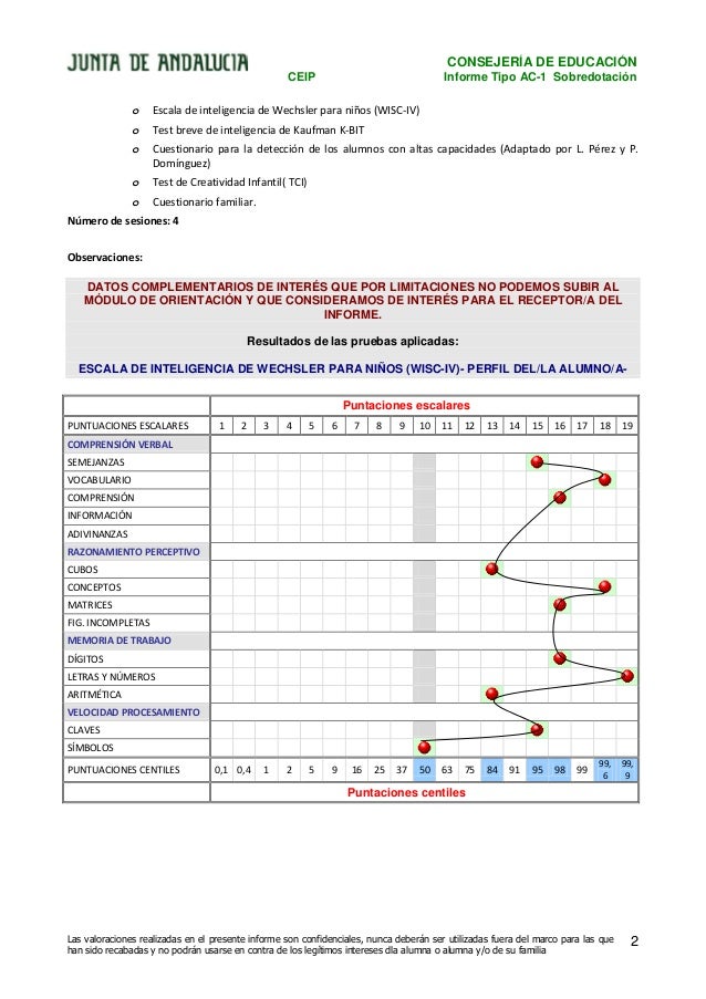 Ejemplo De Informe Ac