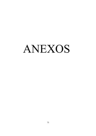 75
ANEXOS
 