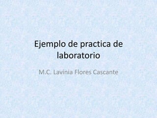 Ejemplo de practica de
laboratorio
M.C. Lavinia Flores Cascante
 