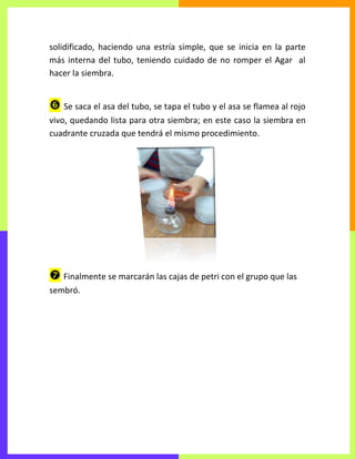 solidificado, haciendo una estría simple, que se inicia en la parte
más interna del tubo, teniendo cuidado de no romper el Agar al
hacer la siembra.
 Se saca el asa del tubo, se tapa el tubo y el asa se flamea al rojo
vivo, quedando lista para otra siembra; en este caso la siembra en
cuadrante cruzada que tendrá el mismo procedimiento.
 Finalmente se marcarán las cajas de petri con el grupo que las
sembró.
 