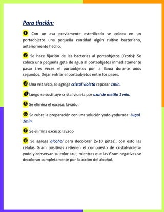 Para tinción:
 Con un asa previamente esterilizada se coloca en un
portaobjetos una pequeña cantidad algún cultivo bacteriano,
anteriormente hecho.
 Se hace fijación de las bacterias al portaobjetos (Frotis): Se
coloca una pequeña gota de agua al portaobjetos inmediatamente
pasar tres veces el portaobjetos por la llama durante unos
segundos. Dejar enfriar el portaobjetos entre los pases.
 Una vez seco, se agrega cristal violeta reposar 1min.
 Luego se sustituye cristal violeta por azul de metilo 1 min.
 Se elimina el exceso: lavado.
 Se cubre la preparación con una solución yodo-yodurada: Lugol
1min.
 Se elimina exceso: lavado
 Se agrega alcohol para decolorar (5-10 gotas), con esto las
células Gram positivas retienen el compuesto de cristal-violeta-
yodo y conservan su color azul, mientras que las Gram negativas se
decoloran completamente por la acción del alcohol.
 