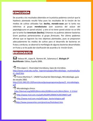 Conclusión:
De acuerdo a los resultados obtenidos en la práctica podemos concluir que la
hipótesis planteada resultó falsa pues los resultados de la tinción de los
medios de cultivo utilizados fue: bacilos, morado-rosas por lo tanto nos
referimos al grupo mendosicutes (con ausencia del azúcar del
peptidoglucano en pared celular) y otro al no tener pared celular no se tiñó
por lo tanto fue tenericute (bacilos). Entonces no pudimos obtener bacterias
Gram positivas pertenecientes al grupo firmicutes. Por último podemos
afirmar que se lograron los tres objetivos planteados, pues se prepararon
adecuadamente los medios de cultivo para el desarrollo de bacterias en
frutas y verduras; se observó la morfología de algunas bacterias desarrolladas
en frutas y se les pudo dar clasificación de acuerdo a la tinción Gram.
Bibliografía:
 Velasco M., López R., Romero M., Salamanca C. Biología 2º
Bachillerato: Editex, España 2006.
 Piña López C.: Diversidad microbiana, tipos de microbios.
http://www.unad.edu.co/fac_ingenieria/pages/Microbiologia_mutimedia/ba
ct_clasif.htm
 Franco Martínez F.: UNAM Facultad de Odontología, Microbiología, guía
de estudio 2002.
http://132.248.225.10/licenciatura/guiasyprogramas/guias/2_microbiologia.
pdf
 Microbiología clínica:
http://danival.org/600%20microbio/6200microclin/bhim/bhim_2-3.html
 http://www.mcd.com.mx/pdfs/AGAR%20MAC%20CONKEY.pdf
 http://www.mcd.com.mx/pdfs/agar_bacteriologico.pdf
http://www.joseacortes.com/practicas/frotisbact.htm
 