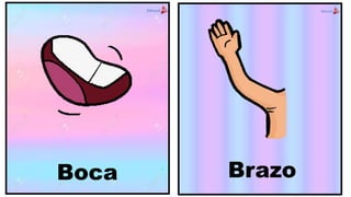 Boca Brazo
 
