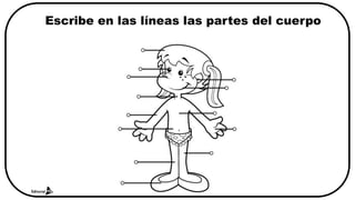 Escribe en las líneas las partes del cuerpo
 