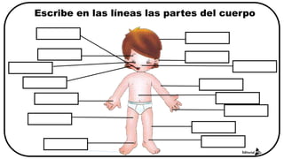 Escribe en las líneas las partes del cuerpo
 
