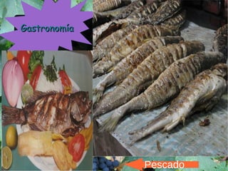 Pescado
GastronomíaGastronomía