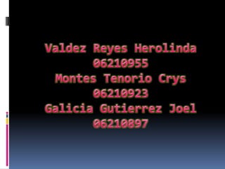 Valdez Reyes Herolinda06210955Montes Tenorio Crys06210923Galicia Gutierrez Joel06210897