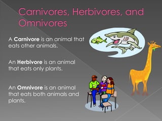A Carnivore is an animal that
eats other animals.


An Herbivore is an animal
that eats only plants.


An Omnivore is an animal
that eats both animals and
plants.
 