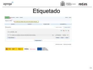 WS 08-06-24 Ejemplo Oa