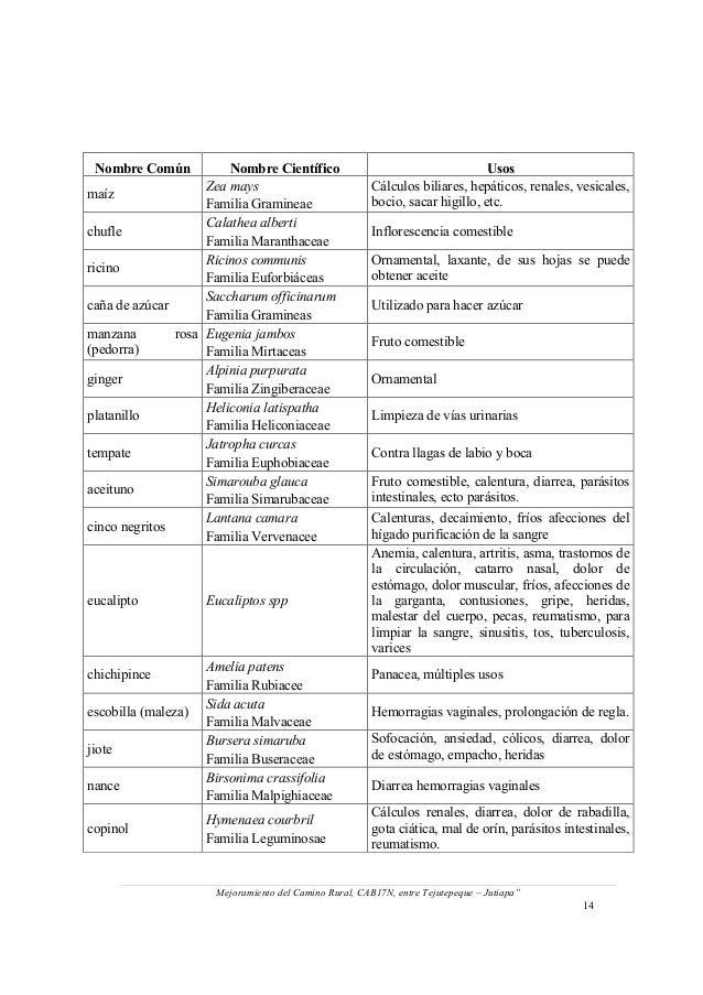 Ejemplo plan de manejo. i pdf