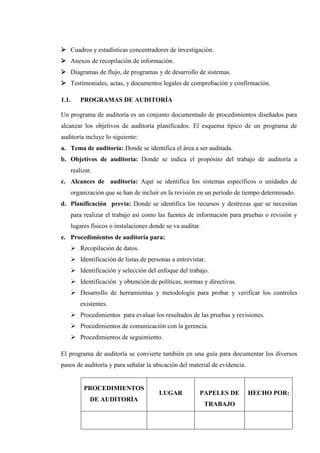 Plo Informatica eeeeeEjemplo practico de auditoria informática | DOCX