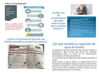 Fase 2 Investigación
 