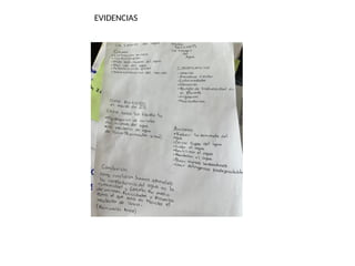 EVIDENCIAS
 