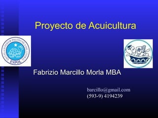 Proyecto de Acuicultura
Fabrizio Marcillo Morla MBAFabrizio Marcillo Morla MBA
barcillo@gmail.com
(593-9) 4194239
 