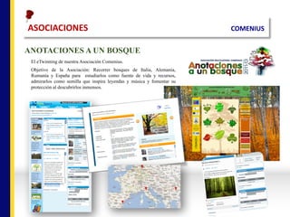 ASOCIACIONES																																																																		COMENIUS
ANOTACIONES A UN BOSQUE
El eTwinning de nuestra Asociación Comenius.
Objetivo de la Asociación: Recorrer bosques de Italia, Alemania,
Rumanía y España para estudiarlos como fuente de vida y recursos,
admirarlos como semilla que inspira leyendas y música y fomentar su
protección al descubrirlos inmensos.
 