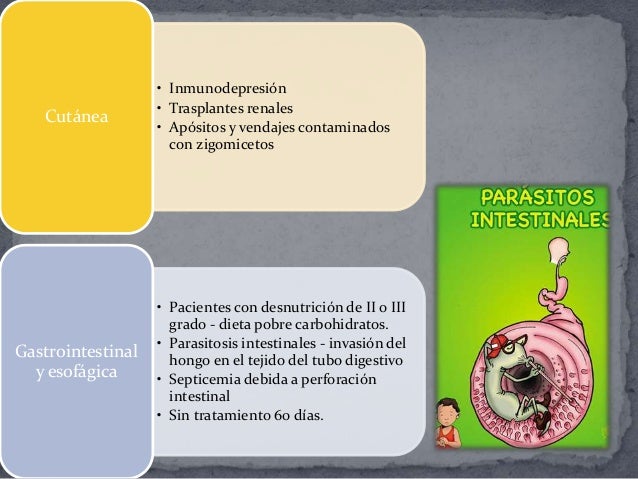 Las gotas del hongo de las uñas barato y eficaz