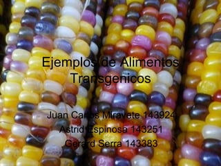 Ejemplos de Alimentos
    Transgenicos

Juan Carlos Miravete 143924
  Astrid Espinosa 143251
   Gerard Serra 143383
 