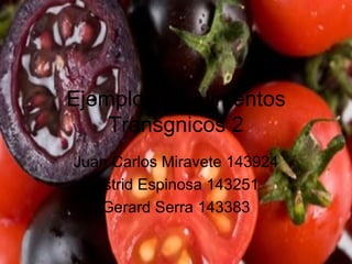 Ejemplos de Alimentos
    Transgnicos 2
Juan Carlos Miravete 143924
  Astrid Espinosa 143251
   Gerard Serra 143383
 