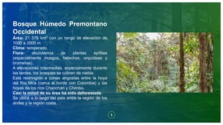 1
Bosque Húmedo Premontano
Occidental
Área: 21 576 km2 con un rango de elevación de
1000 a 2000 m
Clima: temperado.
Flora: abundancia de plantas epífitas
(especialmente musgos, helechos, orquídeas y
bromelias).
A elevaciones intermedias, especialmente durante
las tardes, los bosques se cubren de niebla.
Está restringido a zonas angostas entre la hoya
del Río Mira (cerca al borde con Colombia) y las
hoyas de los ríos Chanchán y Chimbo.
Casi la mitad de su área ha sido deforestada
Se ubica a lo largo del país entre la región de los
andes y la región costa.
 