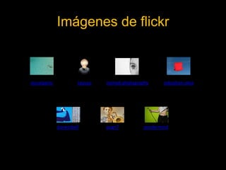 Imágenes de flickrvisualpaniccayusanomad-photographysebastian-silvadarwinbellpcgn7yondermind