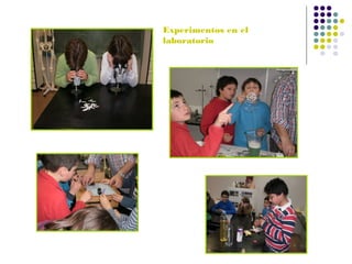 Experimentos en el
laboratorio

 