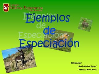 Ejemplos  de Especiación Integrantes: 	- Maria Calisto Seguel 	- Kathleen Vidal Avalos 