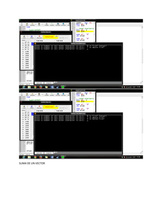 SUMA DE UN VECTOR
 