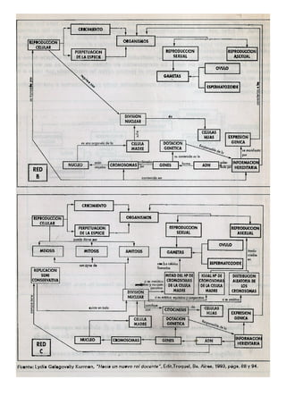 Ejemplos de mapas conceptuales