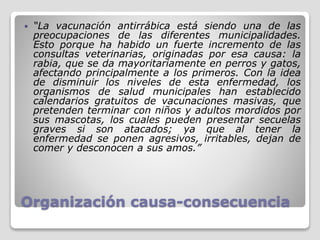 Organización causa-consecuencia
 “La vacunación antirrábica está siendo una de las
preocupaciones de las diferentes municipalidades.
Esto porque ha habido un fuerte incremento de las
consultas veterinarias, originadas por esa causa: la
rabia, que se da mayoritariamente en perros y gatos,
afectando principalmente a los primeros. Con la idea
de disminuir los niveles de esta enfermedad, los
organismos de salud municipales han establecido
calendarios gratuitos de vacunaciones masivas, que
pretenden terminar con niños y adultos mordidos por
sus mascotas, los cuales pueden presentar secuelas
graves si son atacados; ya que al tener la
enfermedad se ponen agresivos, irritables, dejan de
comer y desconocen a sus amos.”
 