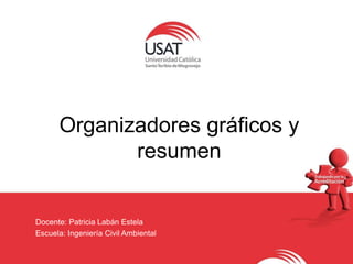 Organizadores gráficos y
resumen
Docente: Patricia Labán Estela
Escuela: Ingeniería Civil Ambiental
 