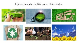 Ejemplos de políticas ambientales
 
