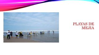 PLAYAS DE
MEJIA
 