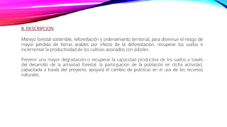 B. DESCRIPCION:
Manejo forestal sostenible, reforestación y ordenamiento territorial, para disminuir el riesgo de
mayor pérdida de tierras arables por efecto de la deforestación, recuperar los suelos e
incrementar la productividad de los cultivos asociados con árboles.
Prevenir una mayor degradación o recuperar la capacidad productiva de los suelos a través
del desarrollo de la actividad forestal. la participación de la población en dicha actividad,
capacitada a través del proyecto, apoyará el cambio de prácticas en el uso de los recursos
naturales.
 