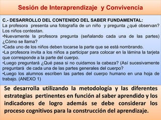 Sesión de Interaprendizaje y Convivencia
Se desarrolla utilizando la metodología y las diferentes
estrategias pertinentes en función al saber aprendido y los
indicadores de logro además se debe considerar los
proceso cognitivos para la construcción del aprendizaje.
C.- DESARROLLO DEL CONTENIDO DEL SABER FUNDAMENTAL:
La profesora presenta una fotografía de un niño y pregunta ¿qué observan?
Los niños contestan.
•Nuevamente la profesora pregunta (señalando cada una de las partes)
¿Cómo se llama?
•Cada uno de los niños deben tocarse la parte que se está nombrando.
•La profesora invita a los niños a participar para colocar en la lámina la tarjeta
que corresponde a la parte del cuerpo.
•Luego preguntará ¿Qué pasa si no cuidamos la cabeza? (Así sucesivamente
preguntará de cada una de las partes generales del cuerpo?
•Luego los alumnos escriben las partes del cuerpo humano en una hoja de
trabajo. (ANEXO 1)
 