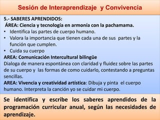 Sesión de Interaprendizaje y Convivencia
5.- SABERES APRENDIDOS:
ÁREA: Ciencia y tecnología en armonía con la pachamama.
• Identifica las partes de cuerpo humano.
• Valora la importancia que tienen cada una de sus partes y la
función que cumplen.
• Cuida su cuerpo
AREA: Comunicación Intercultural bilingüe
Dialoga de manera espontánea con claridad y fluidez sobre las partes
de su cuerpo y las formas de como cuidarlo, contestando a preguntas
sencillas.
AREA: Vivencia y creatividad artística: Dibuja y pinta el cuerpo
humano. Interpreta la canción yo se cuidar mi cuerpo.
Se identifica y escribe los saberes aprendidos de la
programación curricular anual, según las necesidades de
aprendizaje.
 