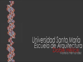 Universidad Santa María Escuela de Arquitectura Morella Hernández Doble Hélice 