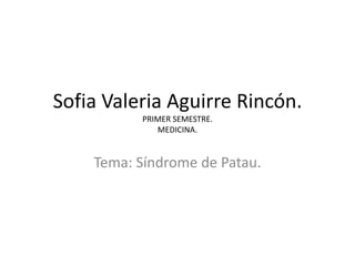 Sofia Valeria Aguirre Rincón.
PRIMER SEMESTRE.
MEDICINA.
Tema: Síndrome de Patau.
 