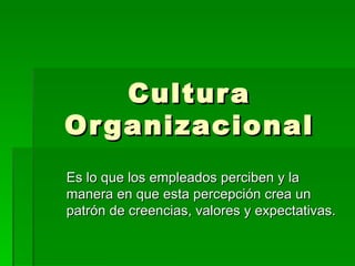 Cultura Organizacional Es lo que los empleados perciben y la manera en que esta percepción crea un patrón de creencias, valores y expectativas. 